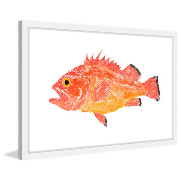 "Yelloweye Rockfish" Framed Painting Print, 24"x16"