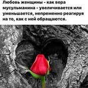 Foto de Зебо Мусамухамедова