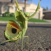 Nancy Schult's photo