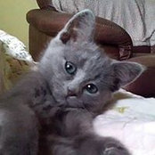 Wendy Barrett's photo