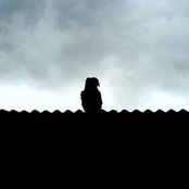 Thibault Lumpp's photo