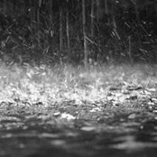 Foto von Anne Mai