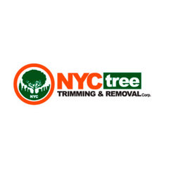 NYC Tree Trimming & Removal Corp