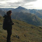 Sharon Carr's photo
