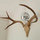 jennifer_avery
