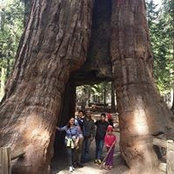 Sonia Sevilla's photo