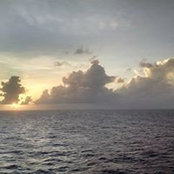 Foto von Mike Rohr