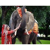 Poonam Balani's photo