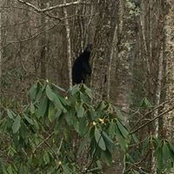 Patricia Hooks's photo