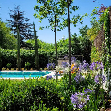 El jardín de Javier