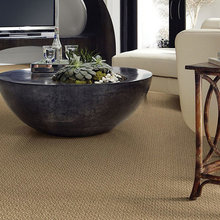 Carpet