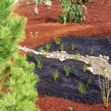 Camas Challenge & Creative Clients. Just Planted
