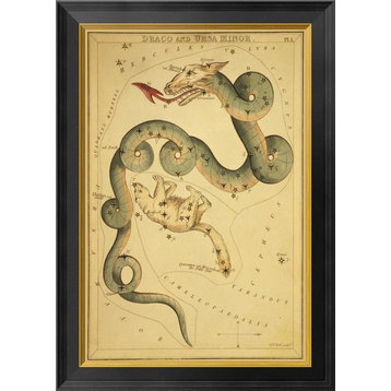 "Draco and Ursa Minor, 1825" Framed Canvas Giclee by Jehoshaphat Aspin, 20x28"