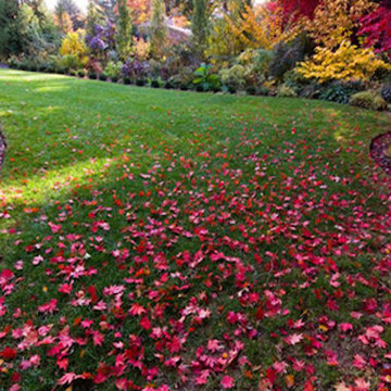 General Landscaping