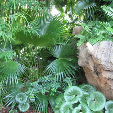 FNGLA Landscape Awards, 2015: Land of the Tiger at The Jacksonville Zoo