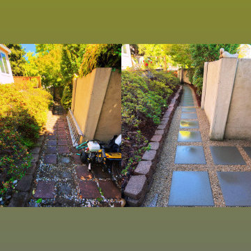 Complete Backyard & Landscape Renovation