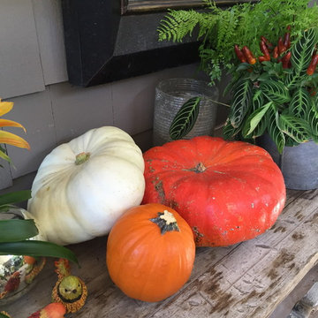 Seasonal Staging - Ideas for Colorful Celebration!