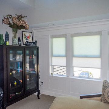 Qmotion Motorized Roller Shades