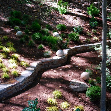 A Garden That Celebrates Light