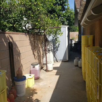 Backyard clean up and remodel