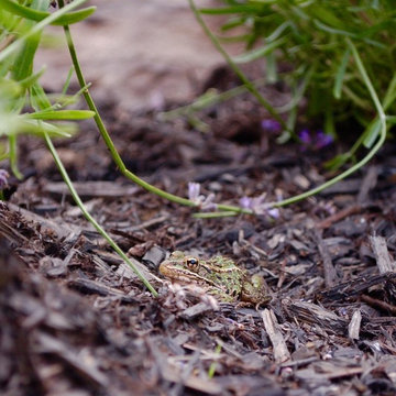 Garden Installations