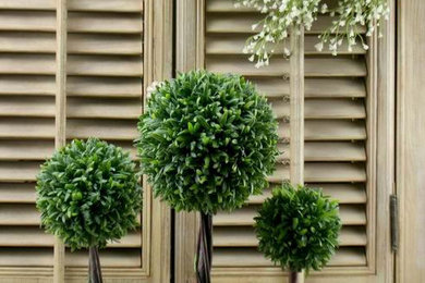 Emulation elegant potted plants