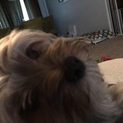 Jennifer Franks's photo