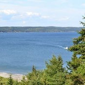 Anne MacKinnon's photo