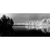 Mark Cavanagh's photo