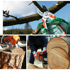 Progressive Tree Care Norco