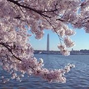 Vincent Santo's photo