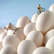 Sohail Malik's photo