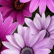 Jo Roe's photo