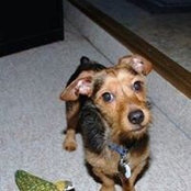 Jennifer Fulbrook's photo