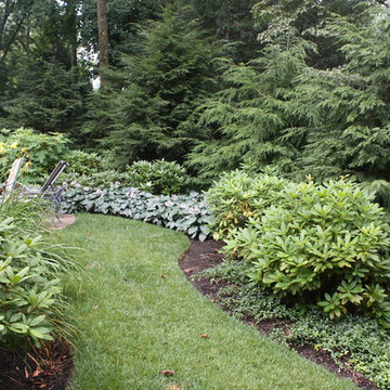 Residential Design / Build