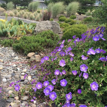Beeswax Landscaping