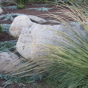 Mountain Style for the Foothills