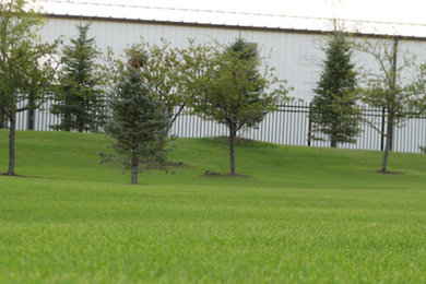 Photo of a mid-sized side yard landscaping in Other.