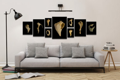Landscape and Nature Photography Sets