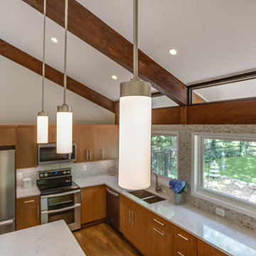 Reston Contemporary Whole Home Remodel