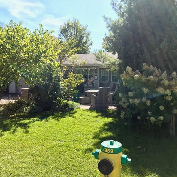 Fairy Garden - Before Shot
