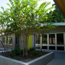 MCM House