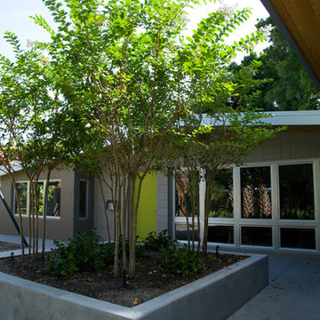 Shopa Mid-Century