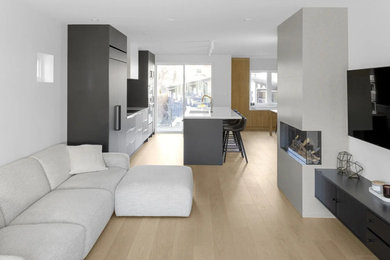 Example of a living room design in Toronto