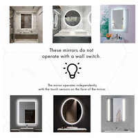 Aurora Backlit Dimmable LED Mirror with Defogger, 60"x36"x1.75"