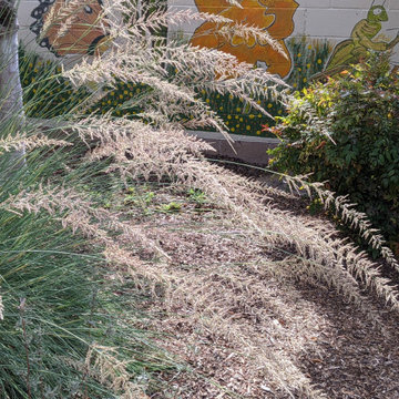 Ladera Heights Mediterranean