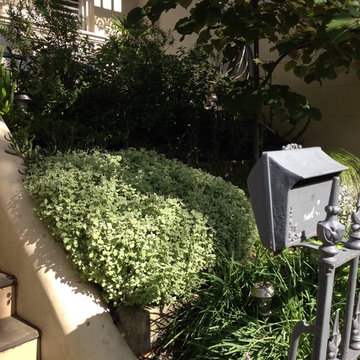 INNERCITY TERRACE GARDEN