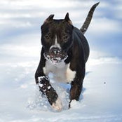 Jenni Snyder's photo
