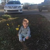 Daniel Cox's photo