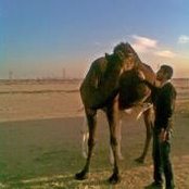 Foto von Ashraf Mosbah